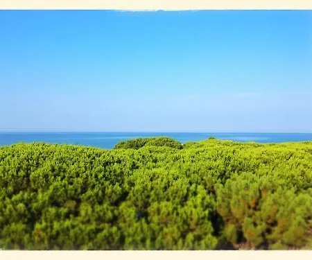 Rosmarina 3* Marina di Grosseto