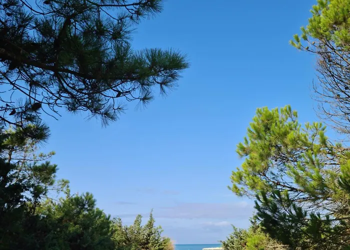 Ξενοδοχείο Rosmarina Marina di Grosseto