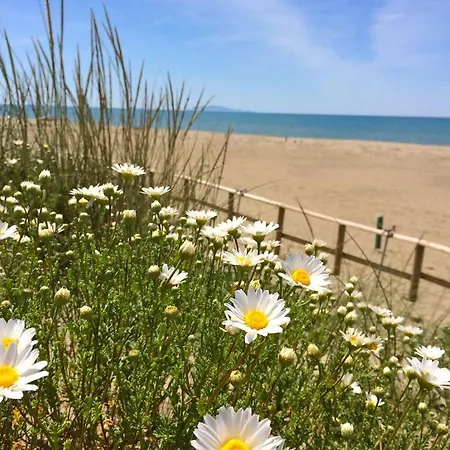 Rosmarina Marina di Grosseto